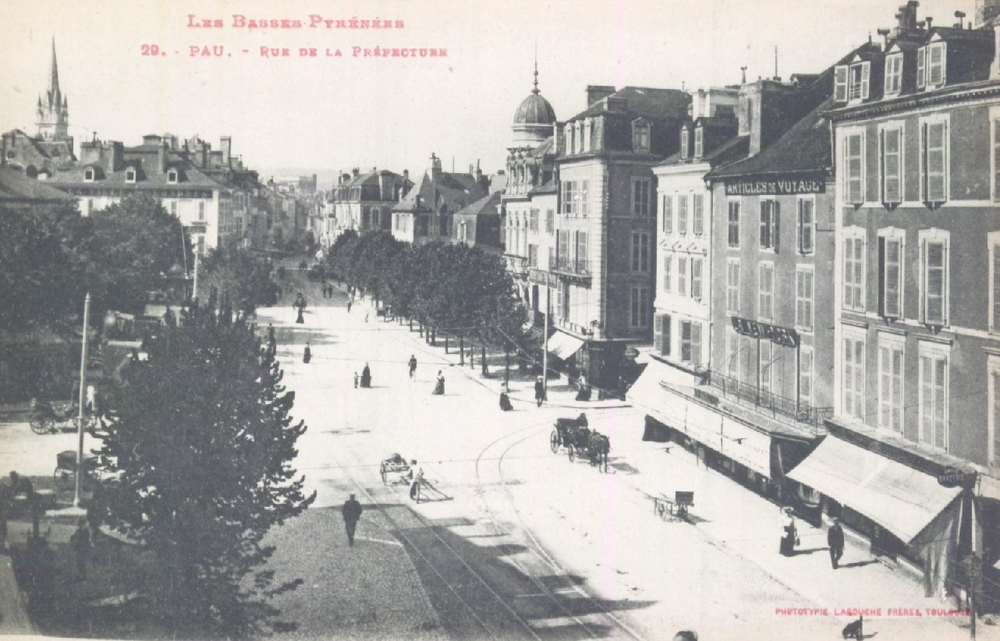  - Basses-Pyrénées, Pau : Rue de la Préfecture ; carte postale ; Bibliothèque Patrimoniale Pau, cote 8-076-1 - 