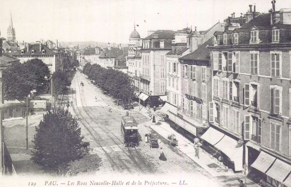  - Pau : Les Rue Nouvelle Halle et de la Préfecture ; carte postale ; Bibliothèque Patrimoniale Pau, cote 8-077-1 - 