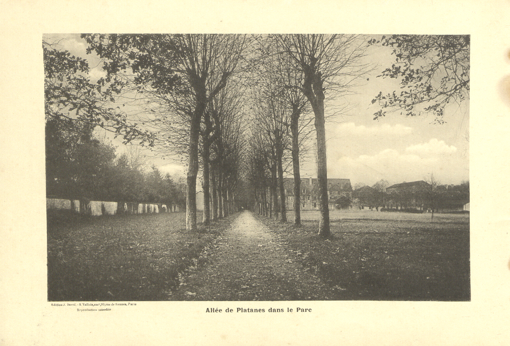  - [Pau : Le Lycée] Allée de Platanes dans le Parc ; carte postale ; Bibliothèque Patrimoniale Pau, cote 181930R - 