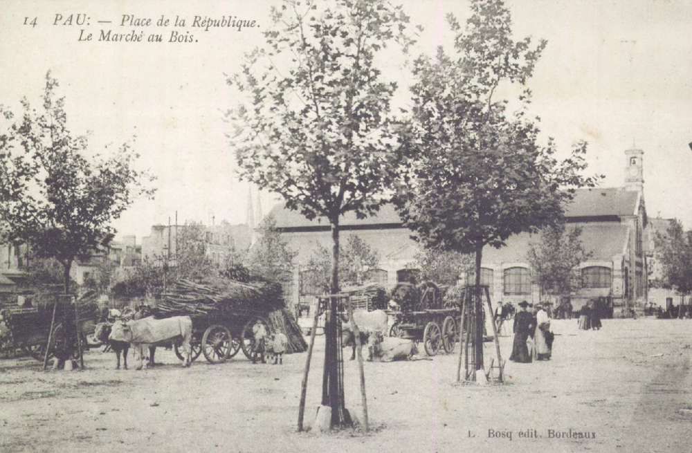  - Pau : Place de la République – Le marché au Bois, carte postale, Bibliothèque Patrimoniale Pau, cote 6-058-2 - 