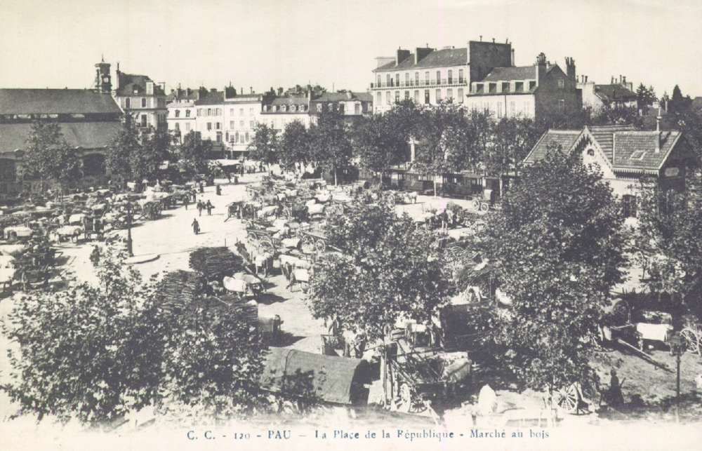  - Pau : La Place de la République – marché au Bois, carte postale, Bibliothèque Patrimoniale Pau, cote 6-058-3 - 